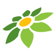 WEBSITE MOD APK